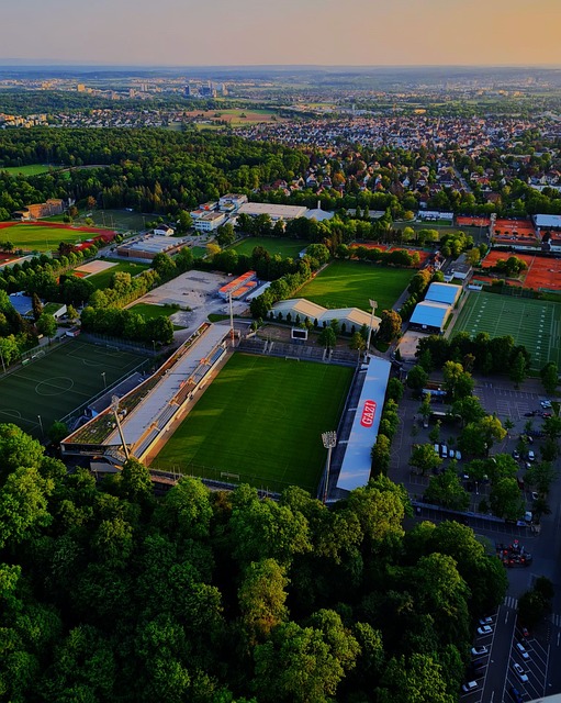 许多人感到 许多人感到