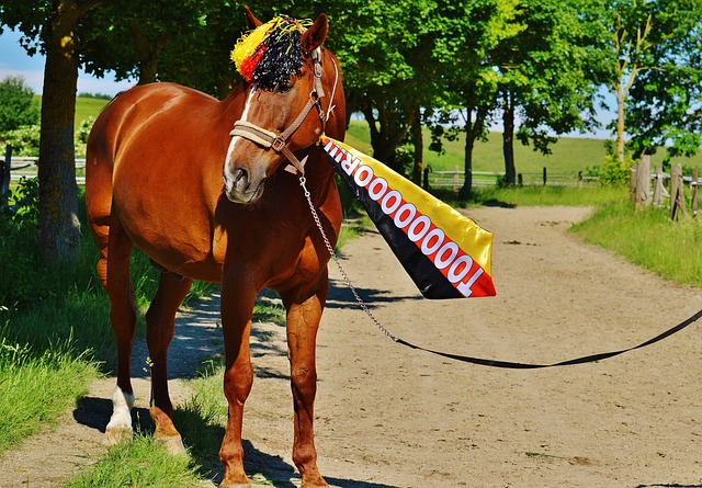 更是一种系 更是一种系