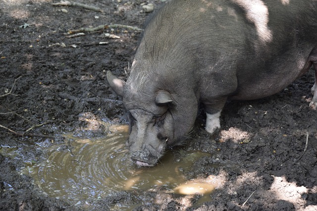 仅为自己的 仅为自己的