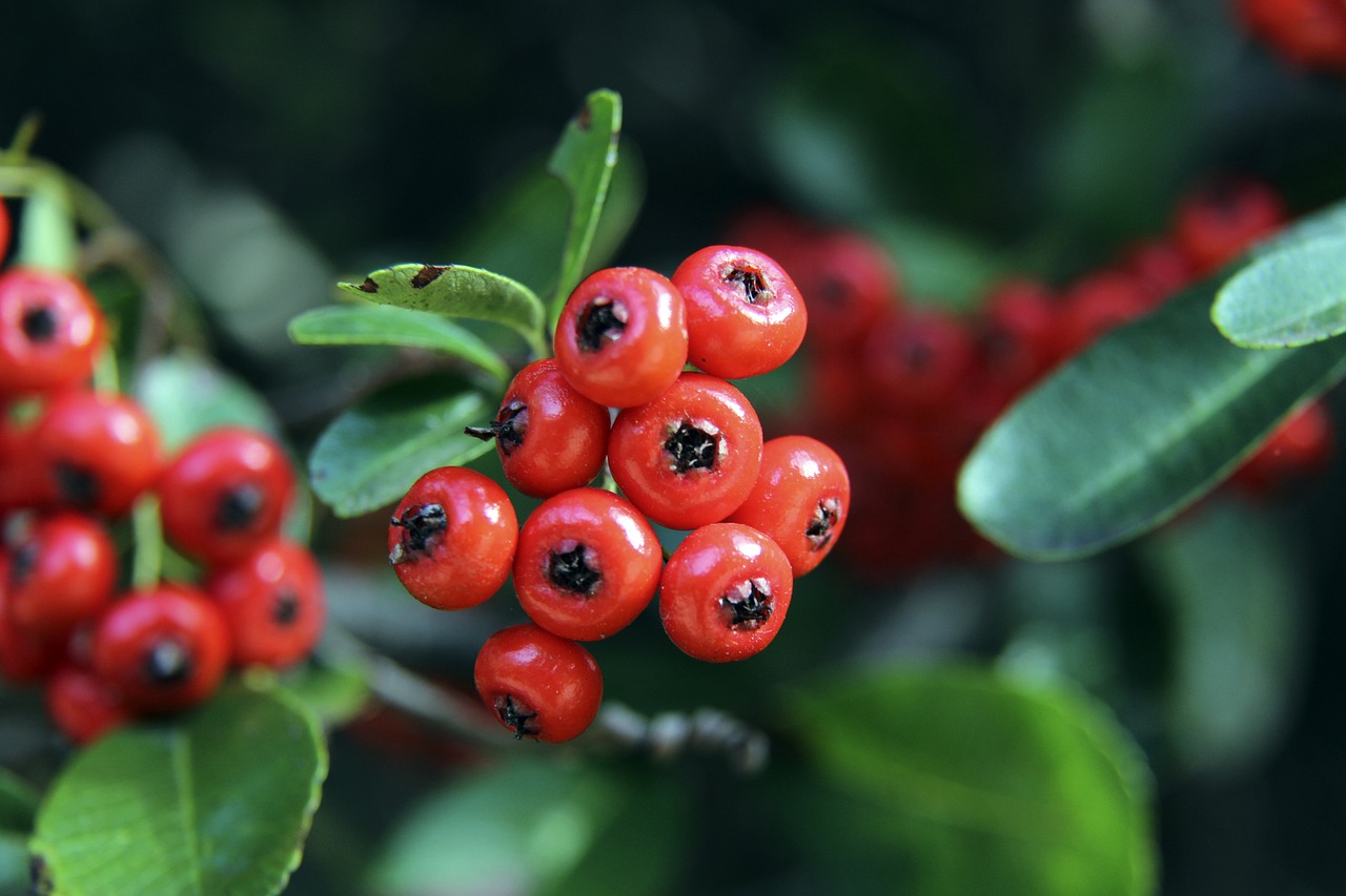 发力推动联 发力推动联