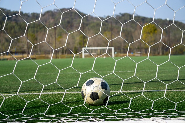 錦上添花 錦上添花