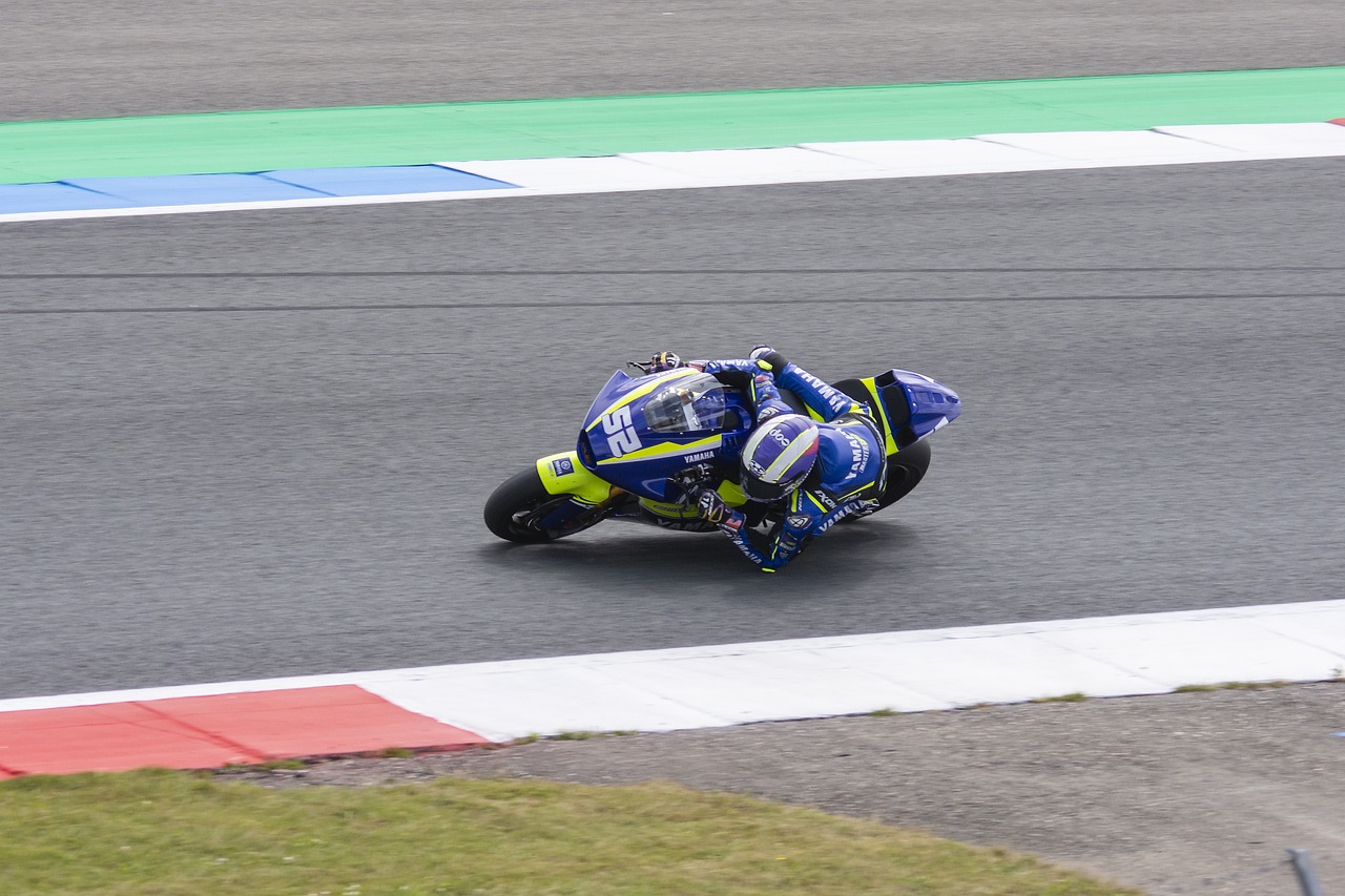 会完全免除 会完全免除